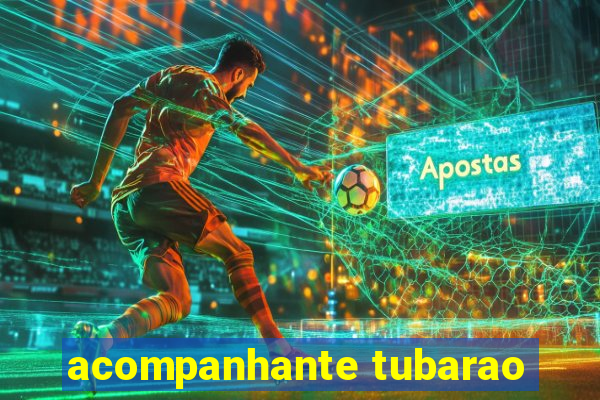 acompanhante tubarao